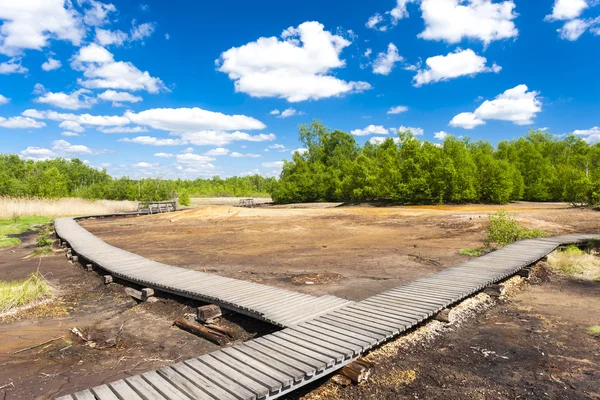 Nature reserve called Soos — Stock Photo, Image