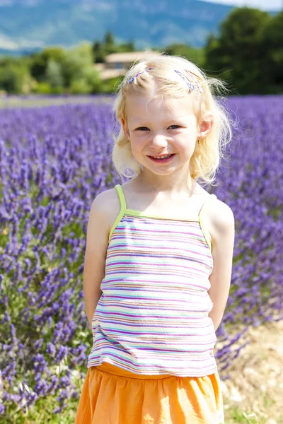 小女孩用薰衣草，法国罗纳-阿尔卑斯大区 — 图库照片
