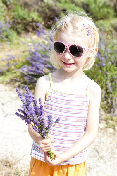 Bambina con lavanda, Provenza, Francia — Foto Stock