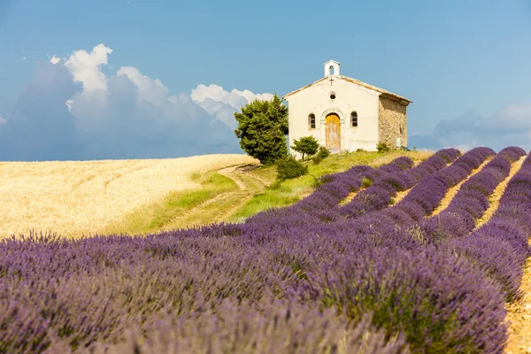 Cappella con campi di lavanda e grano, Plateau de Valensole, Pro — Foto Stock