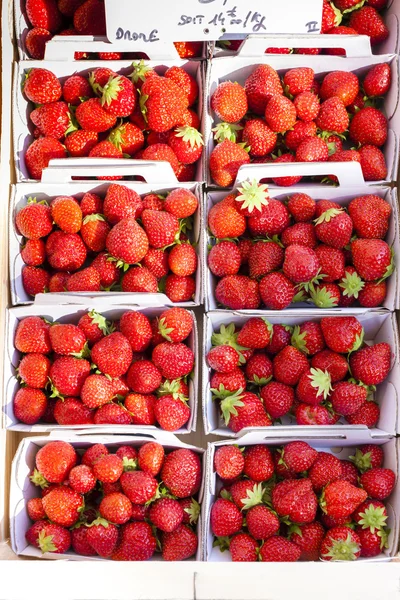 Erdbeeren, Markt in Nyons, Rhône-Alpes, Frankreich — Stockfoto