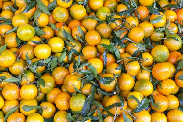 Tangerins, piaci-Forcalquier — Stock Fotó