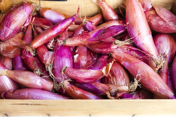 Shallots, market in Forcalquier — Stock Photo, Image