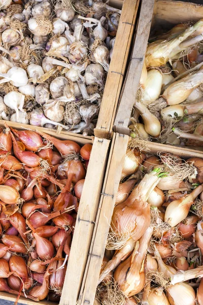 Onions and garlics, market in Forcalquier — Stock Photo, Image