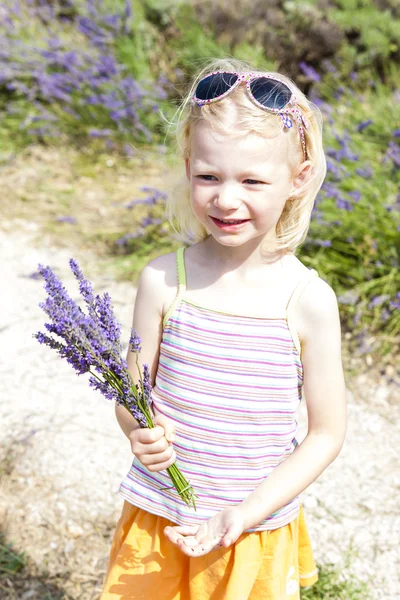 Kleines Mädchen mit Lavendel, Provence, Frankreich — Stockfoto