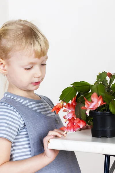 Portrait of little with Christmas cactus — Stock Photo, Image