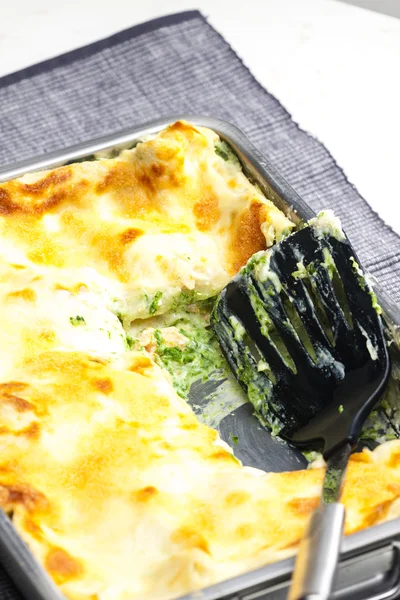 Lasagne met zalm en spinazie — Stockfoto