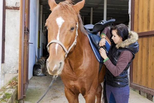 Ecuestre con su caballo —  Fotos de Stock