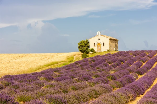 教堂与熏衣草和粮食领域、 高原 de valensole、 pro — 图库照片