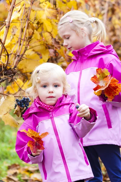 Little girls with grape in autumnal vineyard — Stock Photo, Image