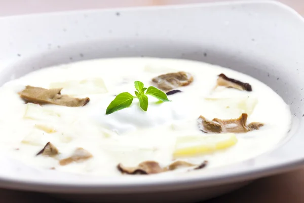 Sopa de cogumelos — Fotografia de Stock