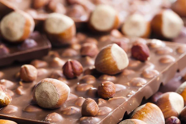 Chocolate bars with hazelnuts — Stock Photo, Image