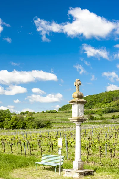 Weinberg bei retz, Niederösterreich, Österreich — Stockfoto