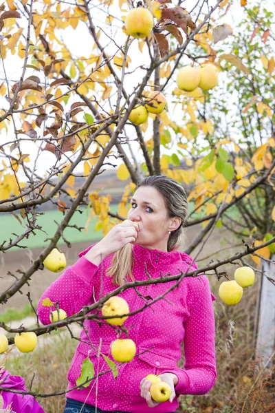 Γυναίκα με το Φθινοπωρινό Μηλιά τρώει ένα μήλο — Φωτογραφία Αρχείου