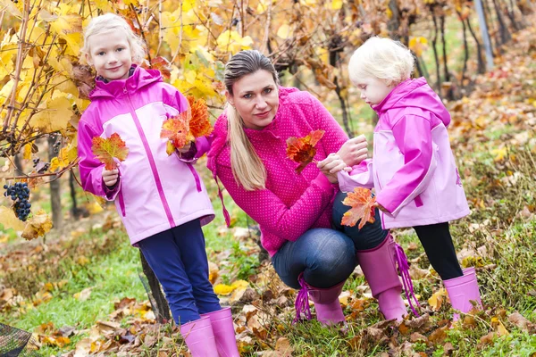 Mother and her daughters in autumnal vineyard — Stock Photo, Image