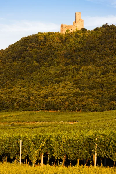 Hrad ortenbourg, Alsasko, Francie — Stock fotografie