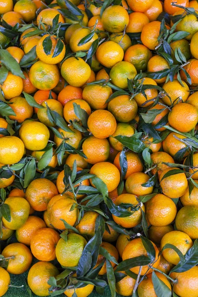 Tangerins, piaci Forcalquier, Provence, Franciaország — Stock Fotó