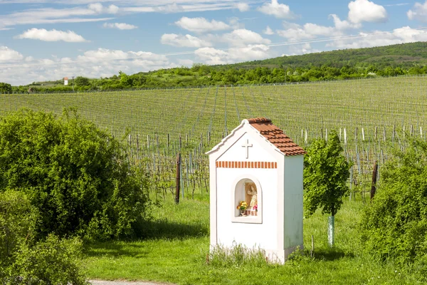 Tortura de Dios cerca de Hnanice con viñedo de primavera, sur de Morav — Foto de Stock