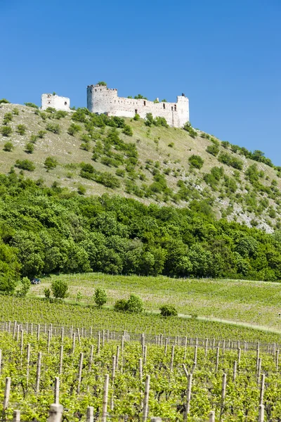 Rovine di Devicky Castle con vigneti, Repubblica Ceca — Foto Stock