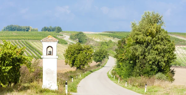 God 's torture with vineyard, Southern Moravia, Czech Republic — стоковое фото