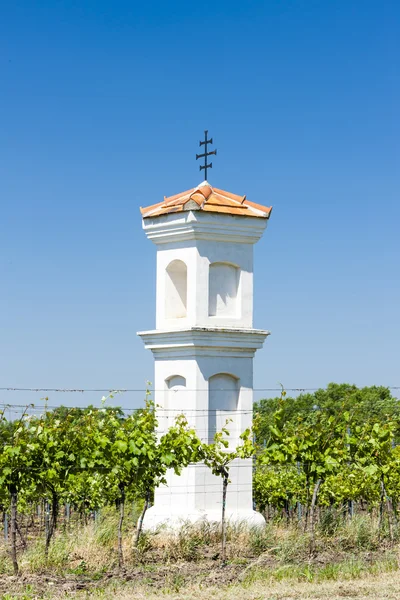 God 's torture with vineyard, Palava, Czech Republic — стоковое фото