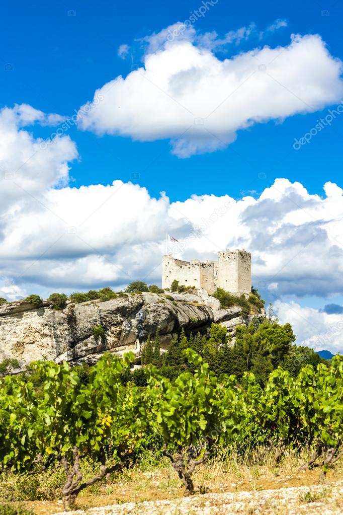 ruins of castle in Vaison-la-Romaine with vineyard, Provence, Fr
