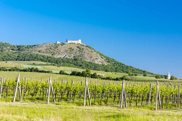 Ruínas do Castelo de Devicky com vinhas — Fotografia de Stock