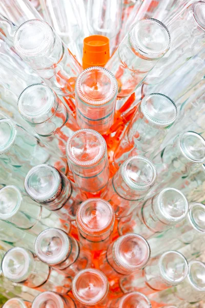 Empty bottles of wine on rack — Stock Photo, Image