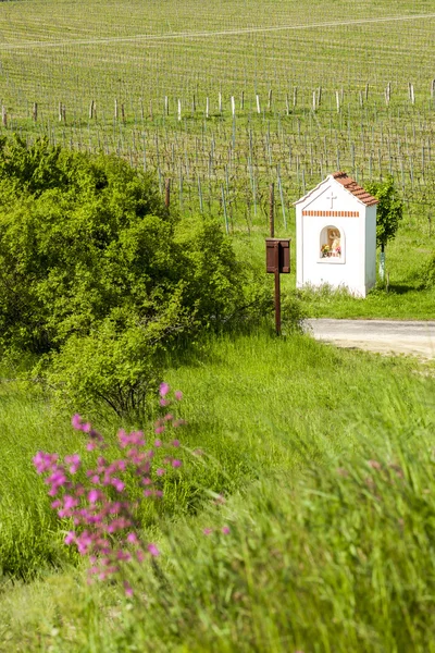 Guds tortyr nära Hnanice med vår vingård — Stockfoto