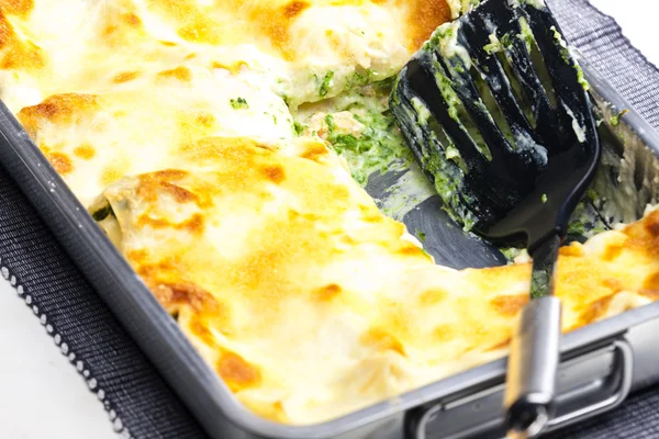 Lasagne with salmon and spinach — Stock Photo, Image