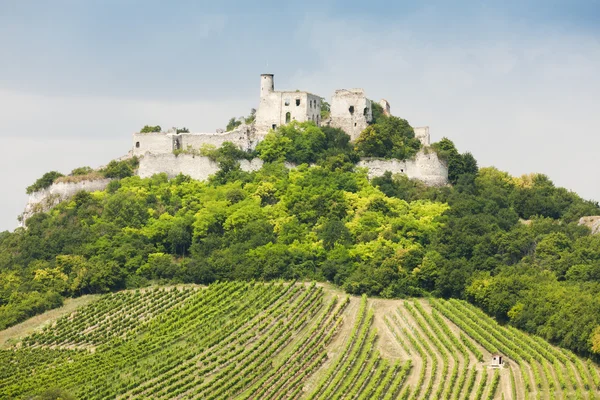 Ruins of Falkenstein Castle with vineyard, Lower Austria — Stock Photo, Image