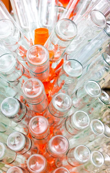 Empty bottles of wine on rack — Stock Photo, Image