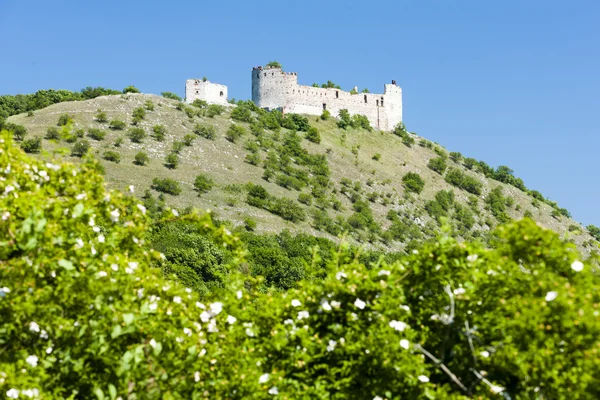 Ruínas do Castelo de Devicky, República Checa — Fotografia de Stock