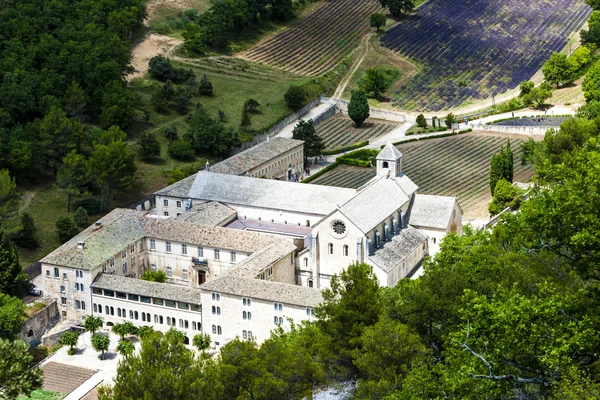 Senanque abbey, Provence, France — Stock Photo, Image