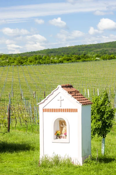 God''s torture near Hnanice with spring vineyard — Stock Photo, Image