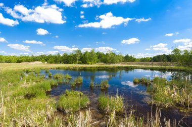 duyarsınız, Çek Cumhuriyeti denilen doğa rezerv