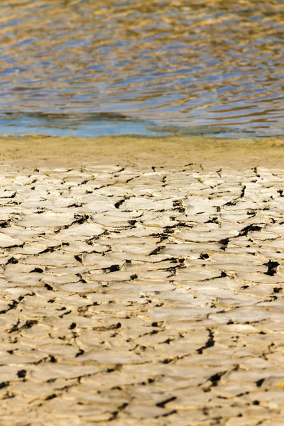 Dry soil, Parc Regional de Camargue, Provence, France — Stock Photo, Image