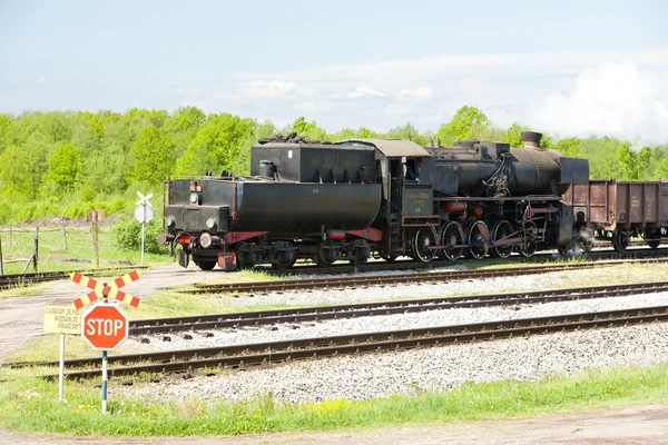 Locomotora de vapor en la región de Tuzla, Bosnia y Herzegovina — Foto de Stock