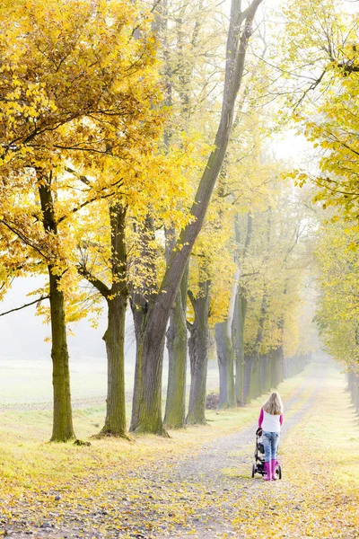 Vrouw met een kinderwagen op wandeling in herfst steegje — Stockfoto