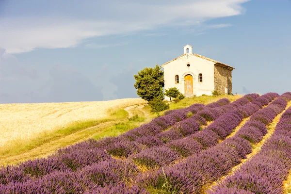 Kapel met lavendel en graan velden — Stockfoto