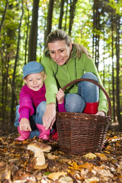 Mamma med sin dotter gör svampplockning — Stockfoto