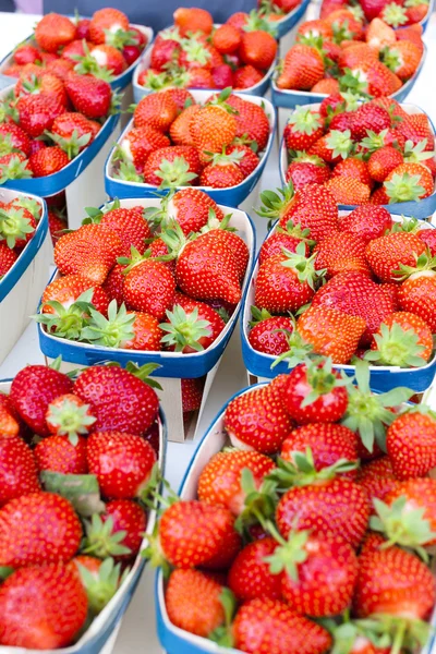 딸기, 니 옹, 론 알프스, 프랑스 시장 — 스톡 사진