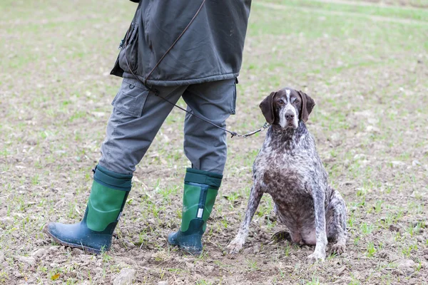 Perro de caza con cazador — Foto de Stock