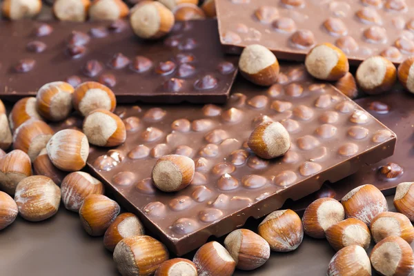 Chokladkakor med hasselnötter — Stockfoto
