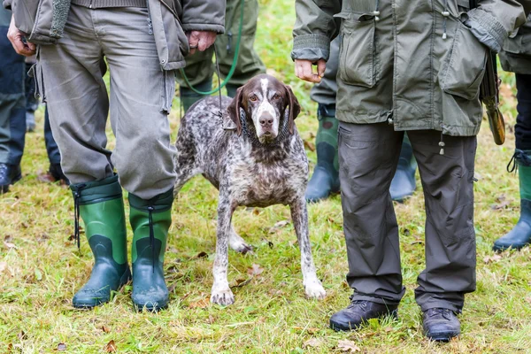 Chasseurs avec un chien à la chasse — Photo