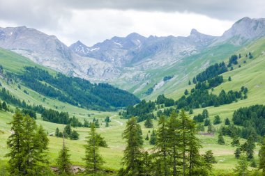 Vallon du Lauzanier, Mercantour Milli Parkı, Fransa