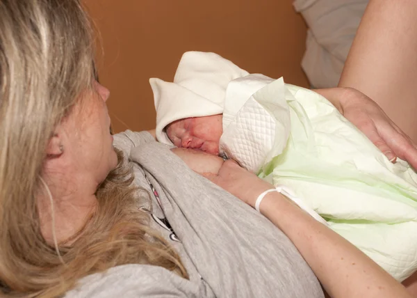 Chupando de um bebê recém-nascido após o parto — Fotografia de Stock