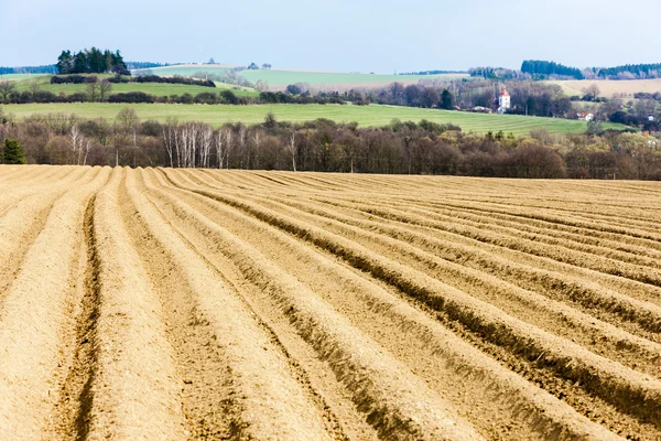 Landschaft mit Feld, Tschechische Republik — Stockfoto