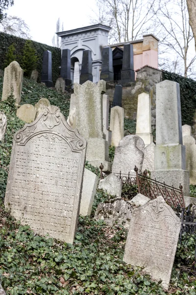 Židovský hřbitov, Třebíč, Česká republika — Stock fotografie