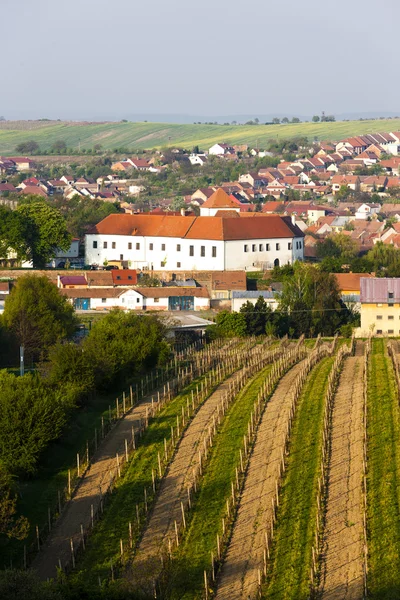 Cejkovice con viñedo, República Checa — Foto de Stock